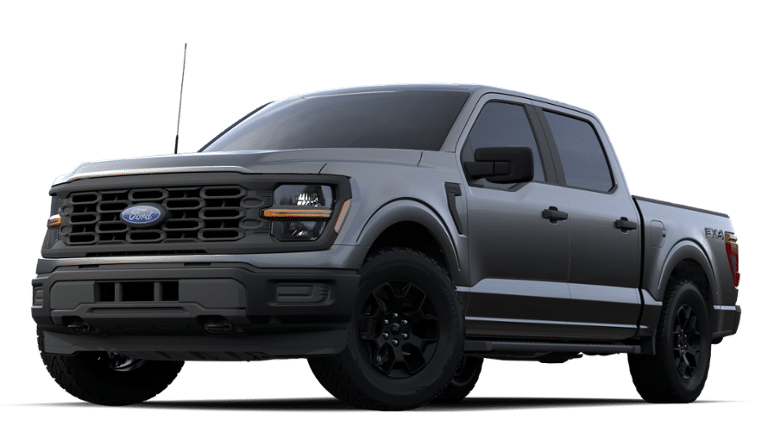 2024 Ford F-150 Vehicle Photo in Terrell, TX 75160